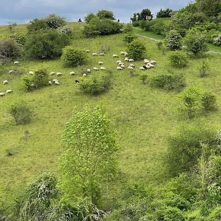 بيت للعطل Du Ble Normand