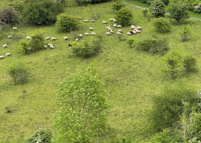 Hébergement de vacances Du Blé Normand